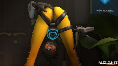 不仅切断了 不仅切断了