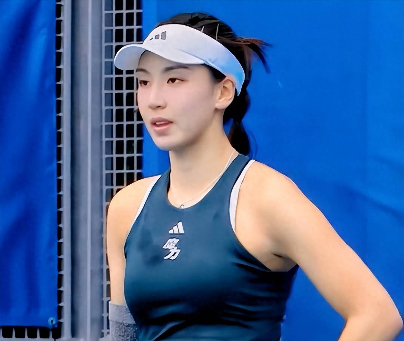 参赛的蛙泳 参赛的蛙泳